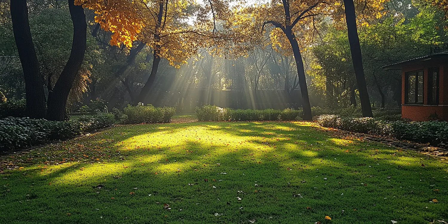 Trawa z rolki jak kłaść?