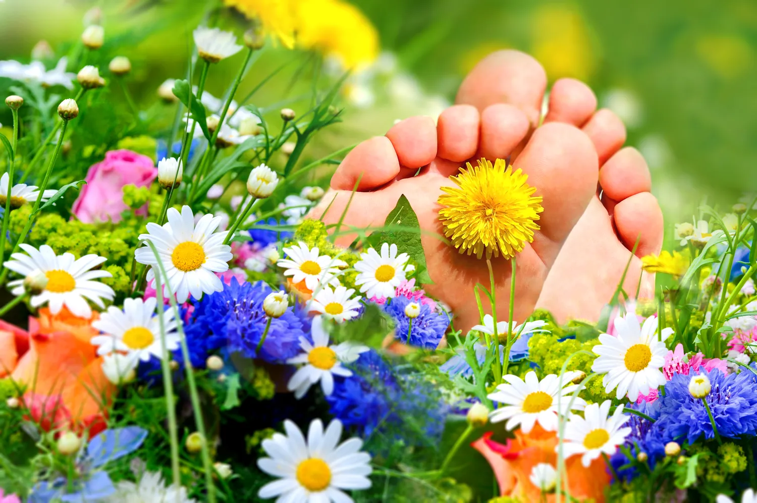 Kompendium informacji na temat pedicure leczniczego